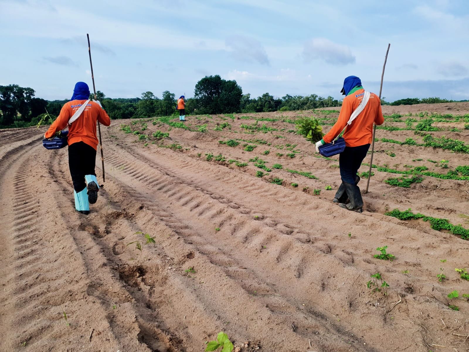 Carbon Bank - Rabobank. image toon de grens tussen natuur en agricultuur in een braziliaans regenwoud. Initiatieven van de carbon bank hebben in dit gebeid geleid tot reforestatie, betaald vanuit carbon credit market. Deze nieuwe business voor boeren is zowel goed voor de natuur als economisch voordelig. 2